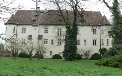 humedades con aquapol